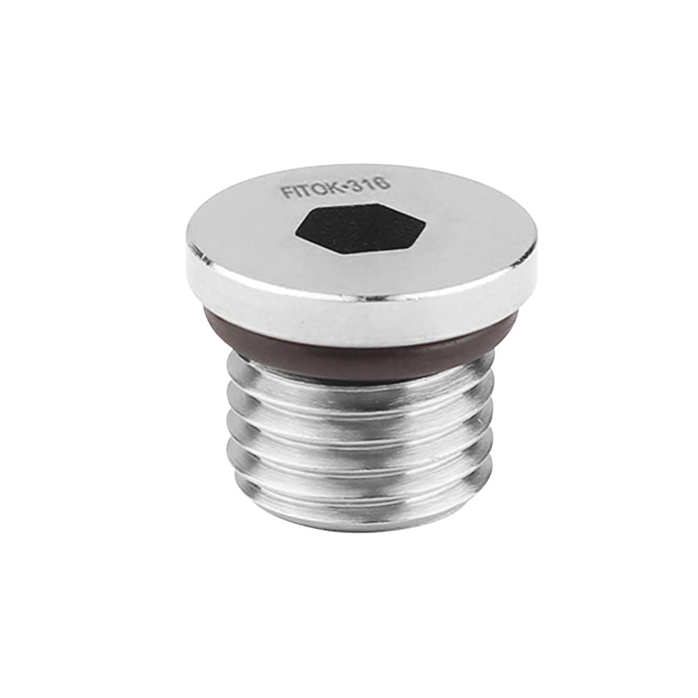 FITOK 316 Stainless Steel Pipe Fitting Hollow Hex Plug Male NPT
