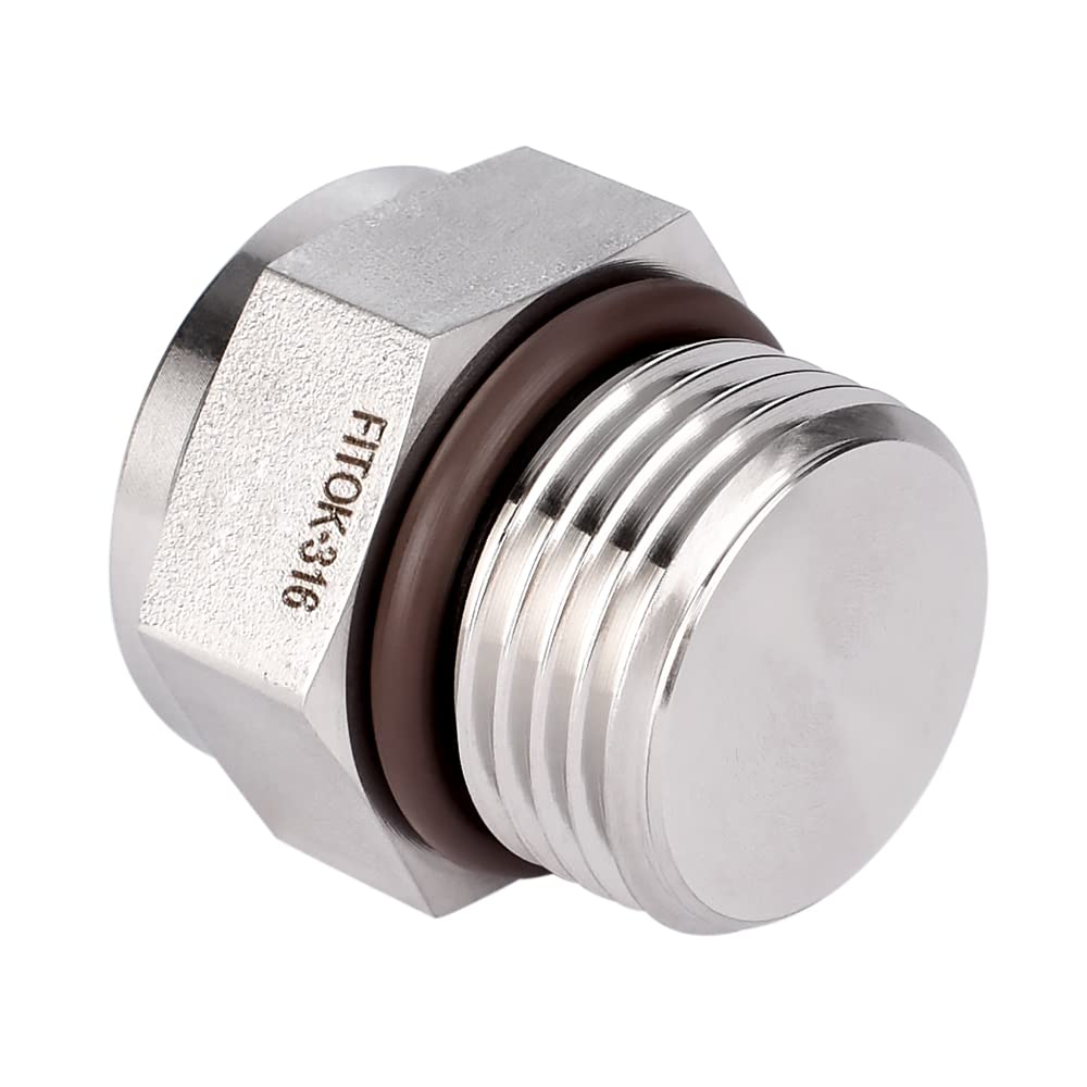 FITOK 316 Stainless Steel Pipe Fitting Hex Head Plug Male NPT